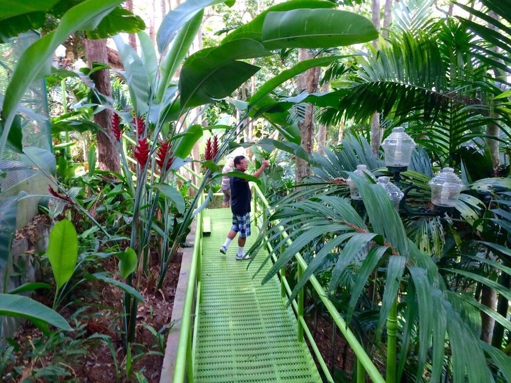 Phu Pha Nam Resort Dan Sai Eksteriør bilde