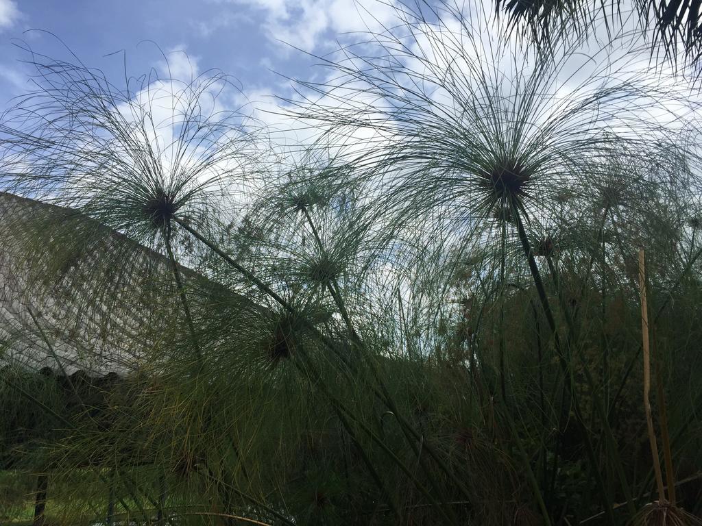 Phu Pha Nam Resort Dan Sai Eksteriør bilde