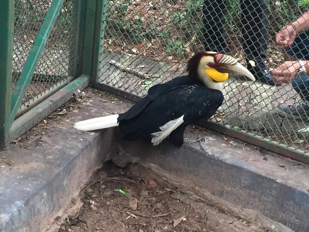 Phu Pha Nam Resort Dan Sai Eksteriør bilde